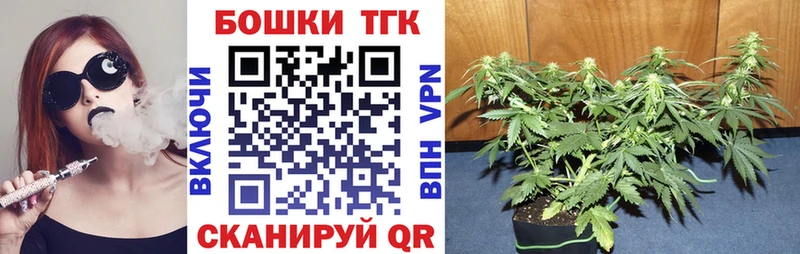 Каннабис Ganja  Купить закладки  Кашин 